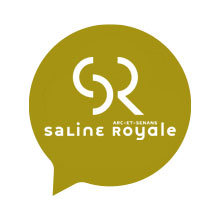 picto-lien-site-web-saline-royale picto lien site web - saline royale